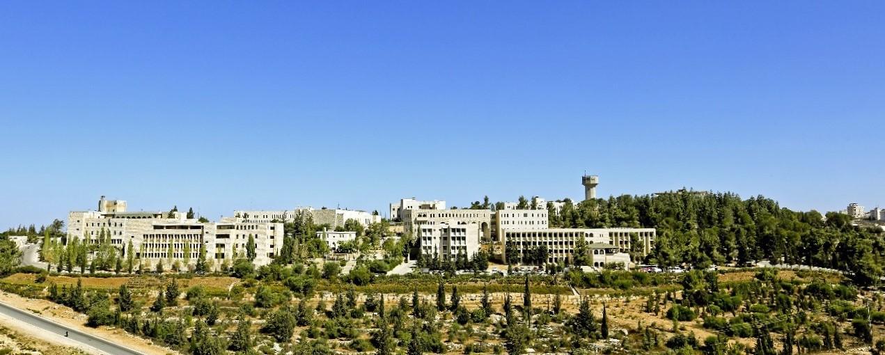 Birzeit University campus in distance